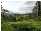 889 Bucckrabendinni Road, Macksville NSW 2447