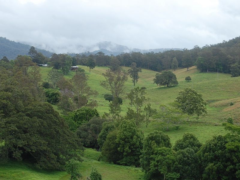 889 Bucckrabendinni Road, Macksville NSW 2447