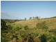 889 Bucckrabendinni Road, Macksville NSW 2447