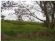889 Bucckrabendinni Road, Macksville NSW 2447