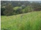 889 Bucckrabendinni Road, Macksville NSW 2447