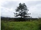 889 Bucckrabendinni Road, Macksville NSW 2447