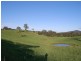 181 North Bank Road, Yarranbella NSW 2447