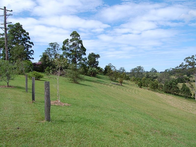 139 Boat Harbour Road, Utungun NSW 2447