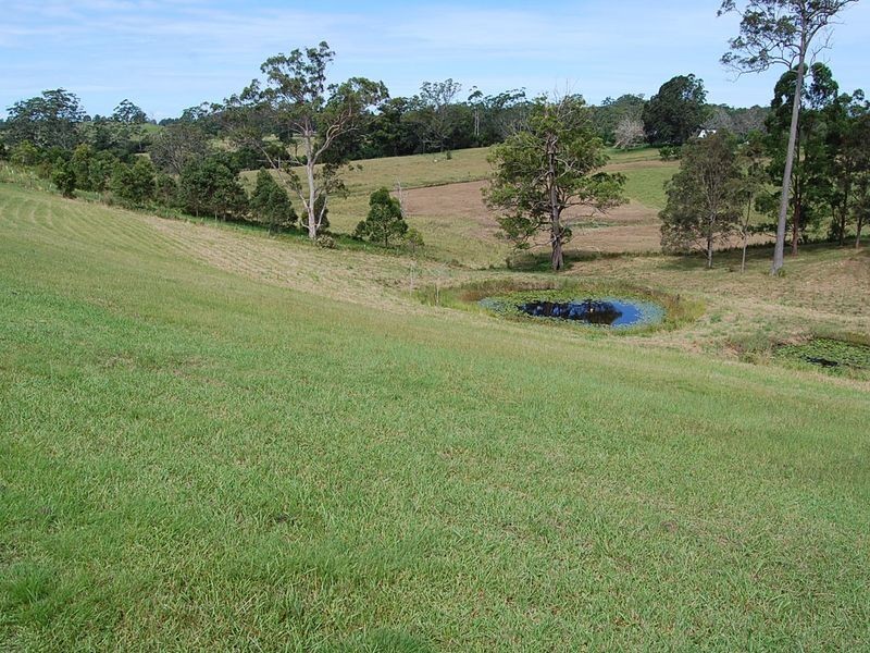 139 Boat Harbour Road, Utungun NSW 2447