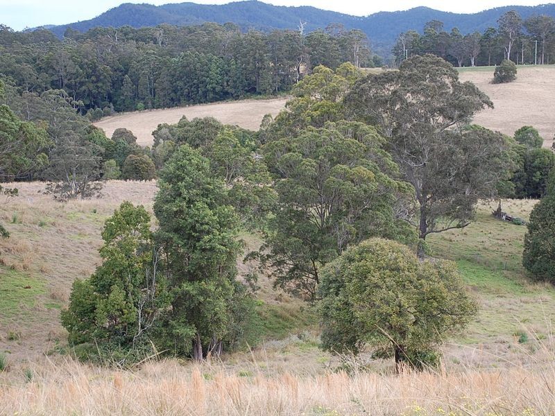 320 Wards Road, Macksville NSW 2447