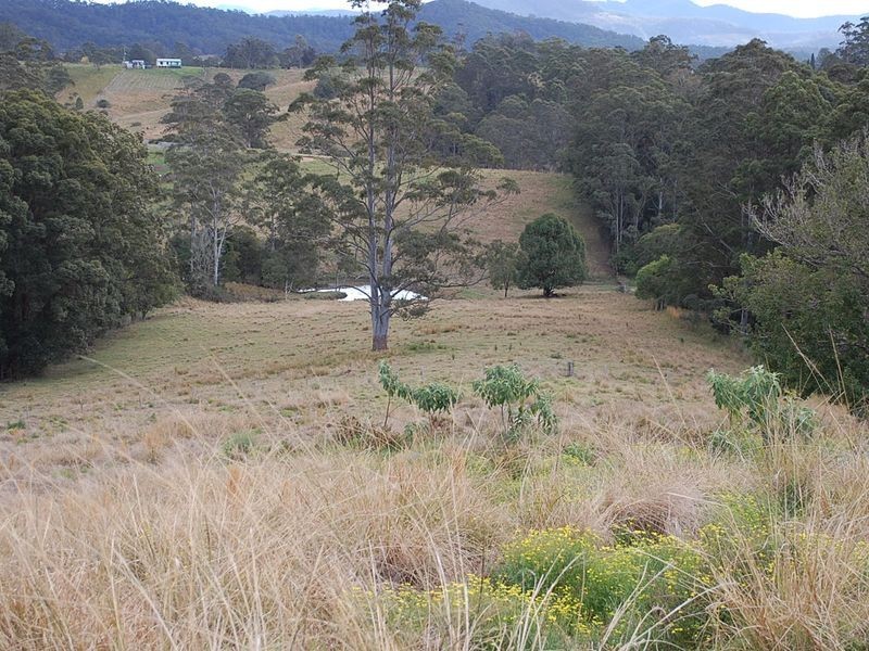 320 Wards Road, Macksville NSW 2447