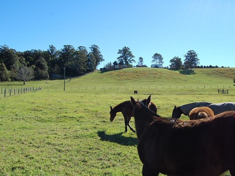 109 Talarm Road, Macksville NSW 2447