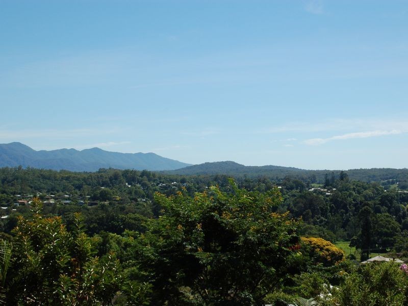 59 Williams Street, Bellingen NSW 2454