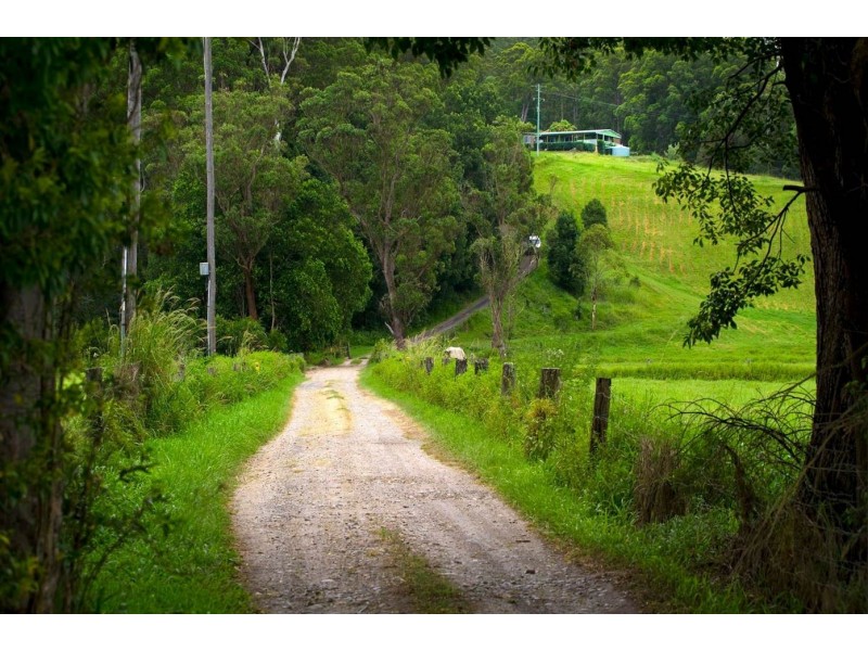 2/763 Waterfall Way, Fernmount NSW 2454