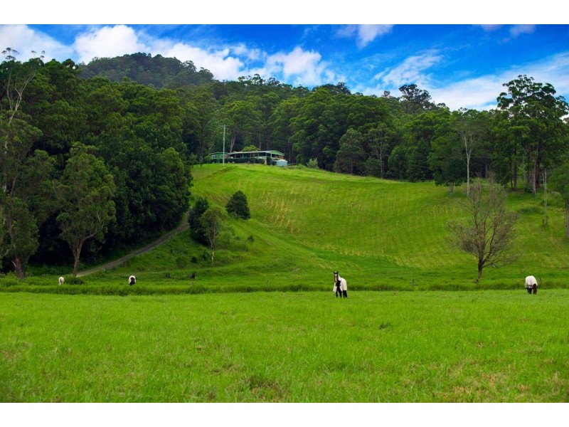 2/763 Waterfall Way, Fernmount NSW 2454