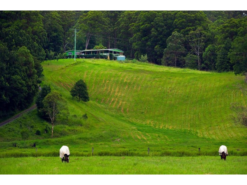 2/763 Waterfall Way, Fernmount NSW 2454