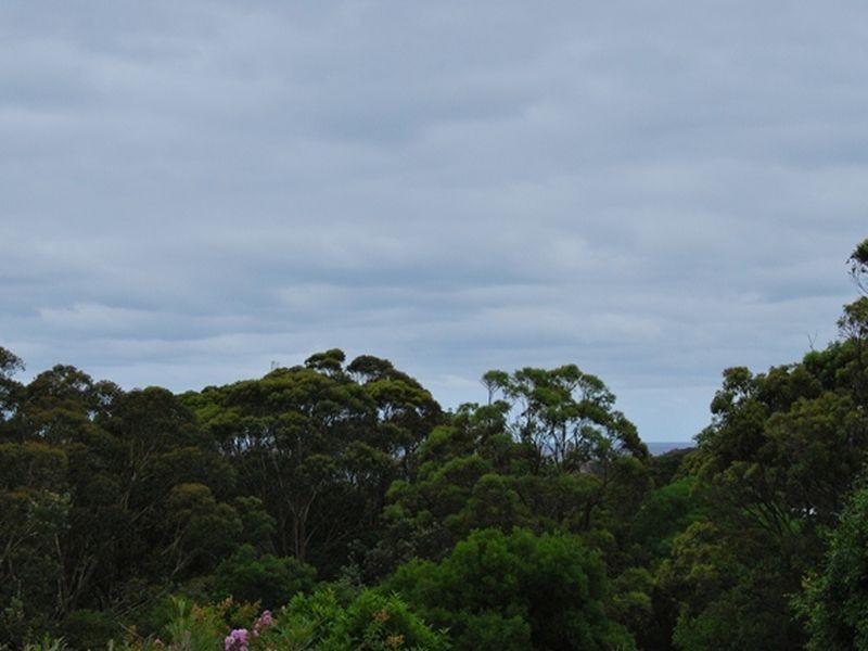 Nambucca Heads NSW 2448