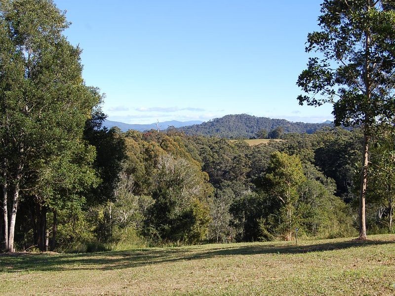 151 Newee Creek Road, Newee Creek NSW 2447