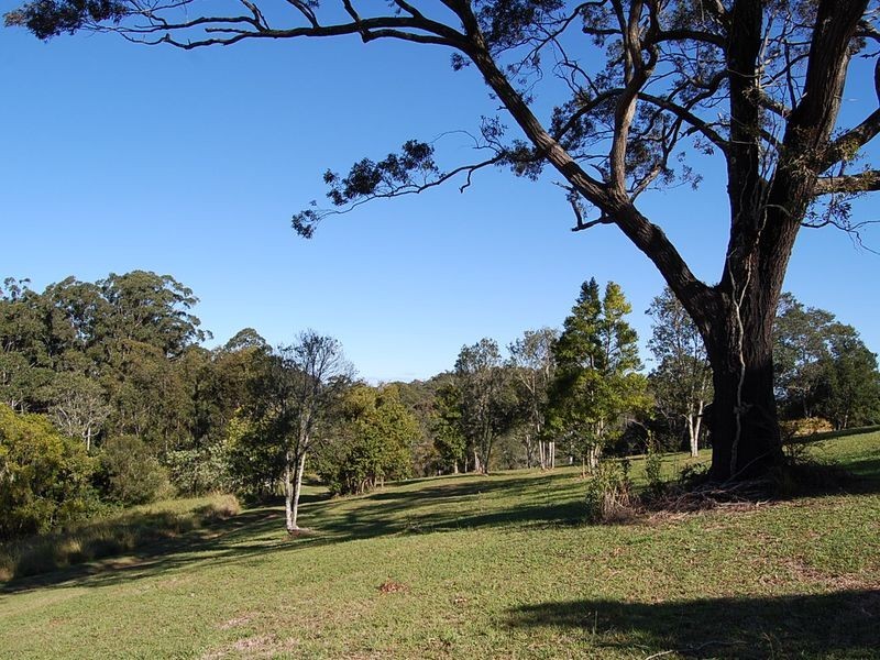 151 Newee Creek Road, Newee Creek NSW 2447