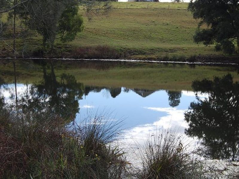 11 Albert Drive, Warrell Creek NSW 2447