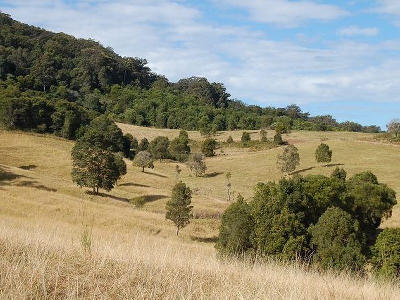 11 Albert Drive, Warrell Creek NSW 2447