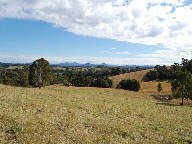 11 Albert Drive, Warrell Creek NSW 2447