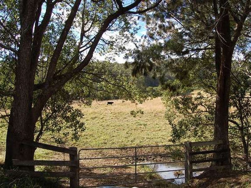 11 Albert Drive, Warrell Creek NSW 2447
