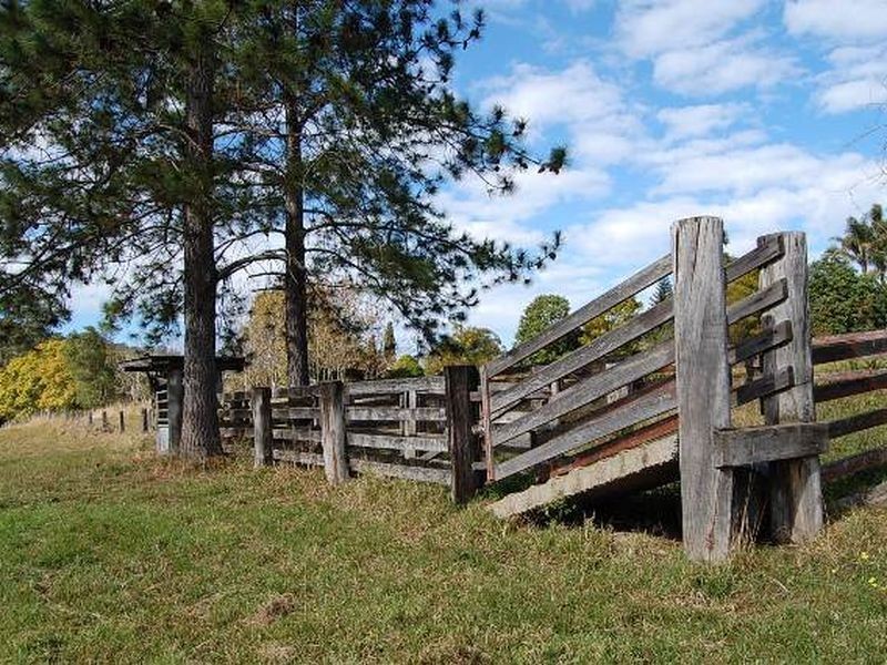 11 Albert Drive, Warrell Creek NSW 2447