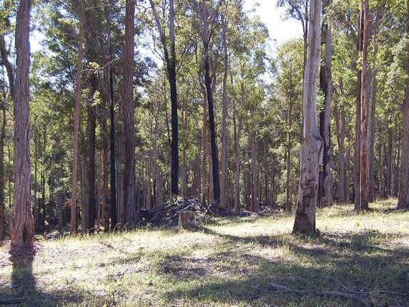 11 Albert Drive, Warrell Creek NSW 2447