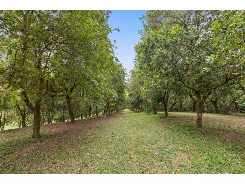 205 Mitchells Road, Valla NSW 2448