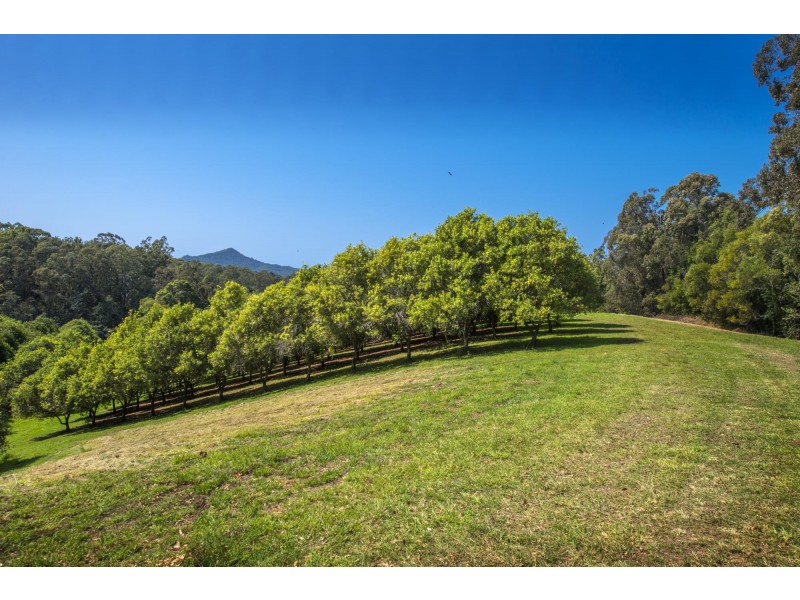 205 Mitchells Road, Valla NSW 2448