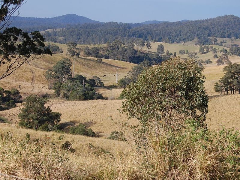 802 Bakers Creek Road, Bakers Creek NSW 2422