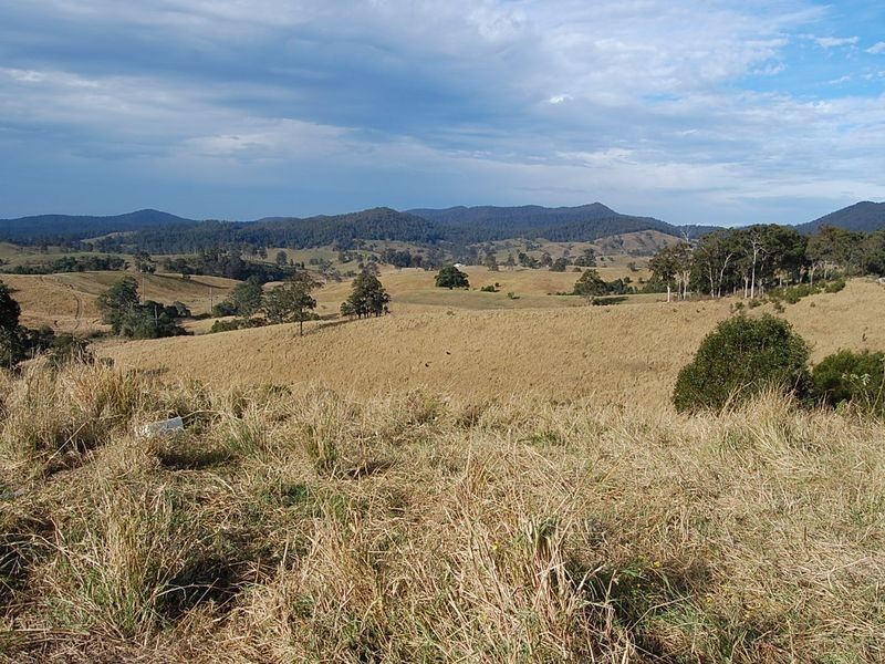 802 Bakers Creek Road, Bakers Creek NSW 2422