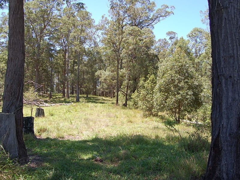 122 Grey Gum Lane, Bowraville NSW 2449