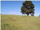 360 Upper Warrell Creek Road, Warrell Creek NSW 2447