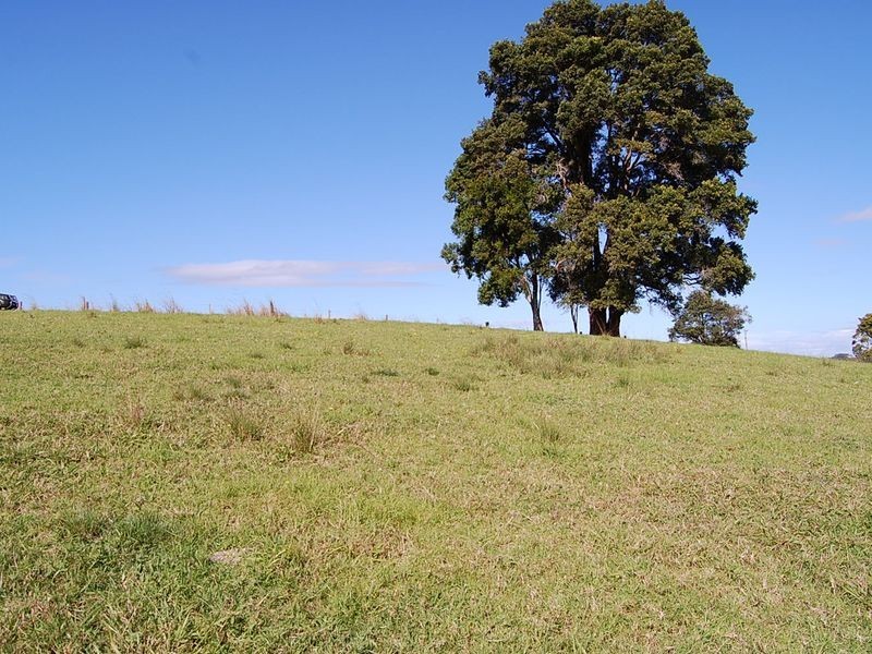 360 Upper Warrell Creek Road, Warrell Creek NSW 2447