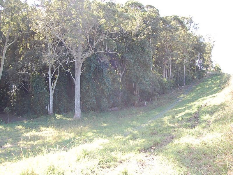 360 Upper Warrell Creek Road, Warrell Creek NSW 2447