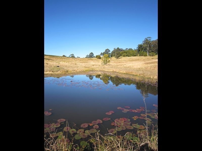 275b Elliots Rd, Tamban NSW 2441