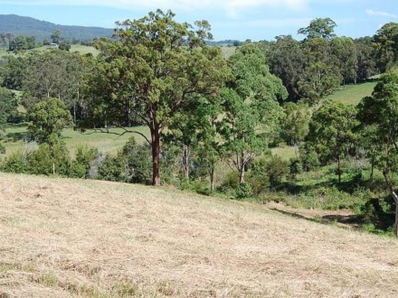 4/ Strawberry Road, Warrell Creek NSW 2447