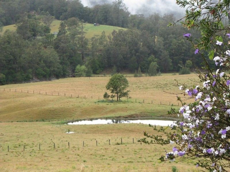 1251 South Arm Road, Bowraville NSW 2449