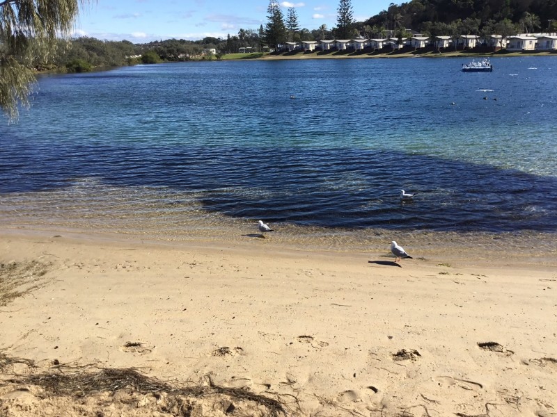 V20-52 Wellington Drive, Nambucca Heads NSW 2448