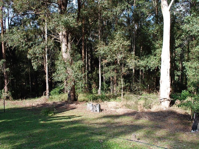 443 Congarinni Road North Congarinni, Macksville NSW 2447