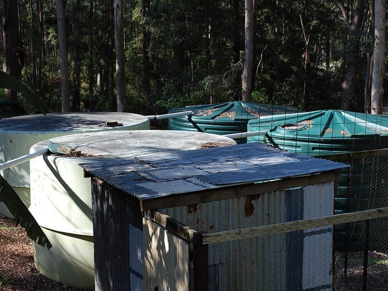 443 Congarinni Road North Congarinni, Macksville NSW 2447