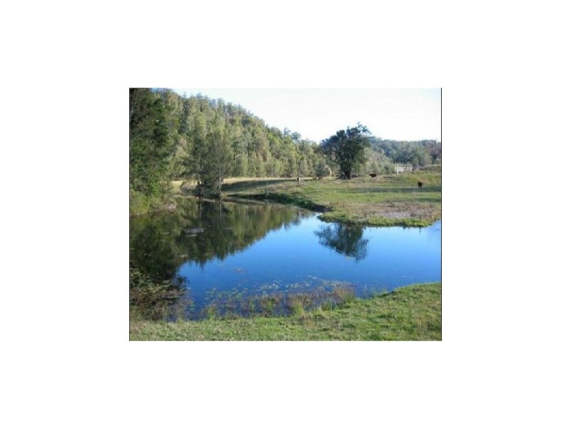 1756 North Arm Road, Argents Hill NSW 2449