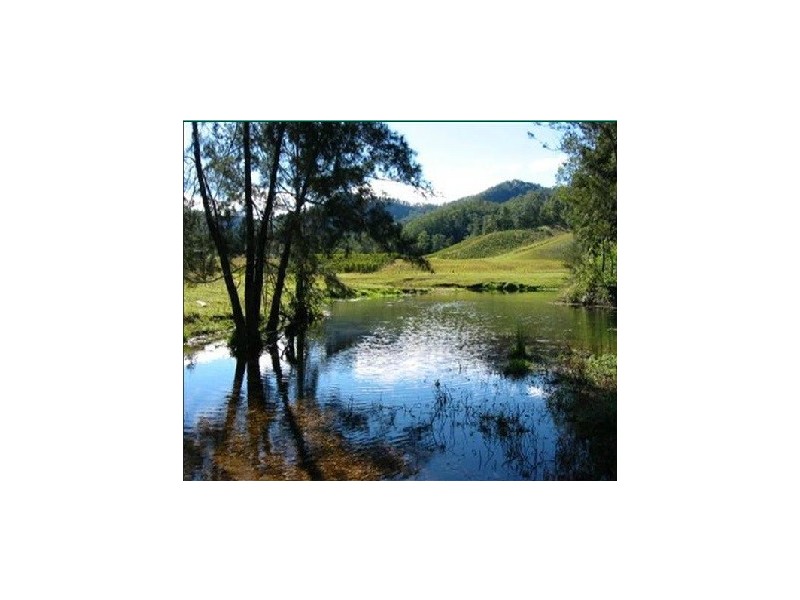 1756 North Arm Road, Argents Hill NSW 2449