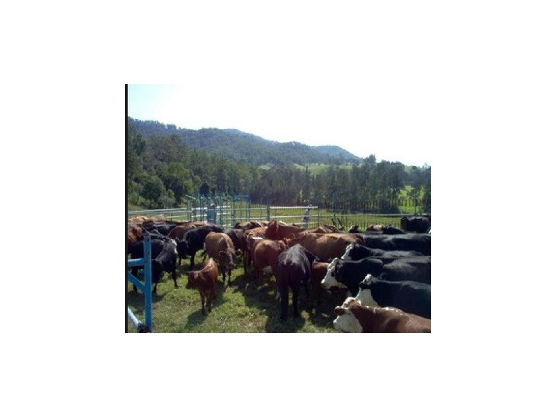 1756 North Arm Road, Argents Hill NSW 2449