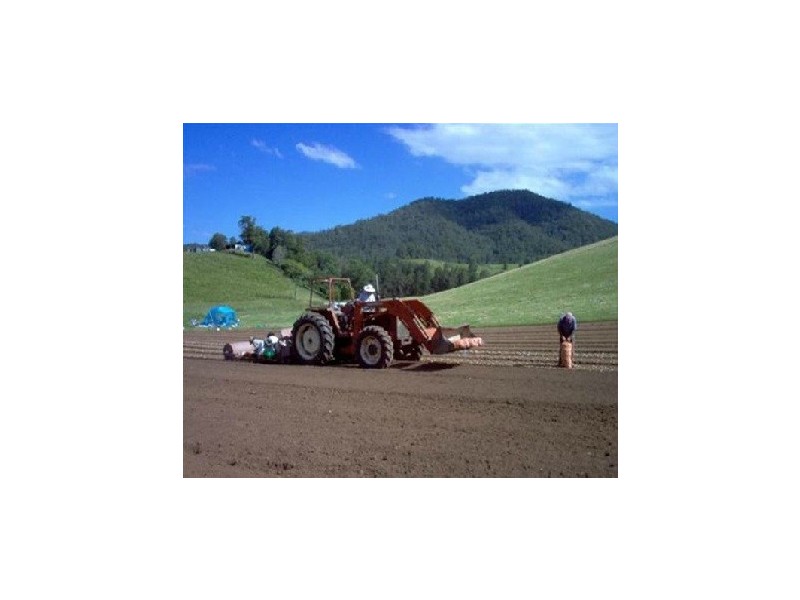 1756 North Arm Road, Argents Hill NSW 2449