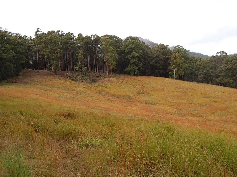 Lot 1/2/3 Wards Road, Macksville NSW 2447