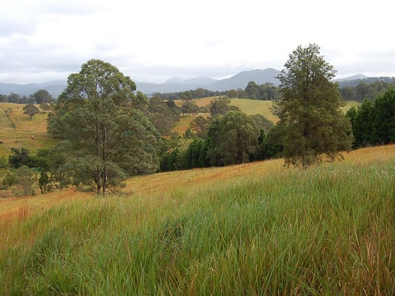 Lot 1/2/3 Wards Road, Macksville NSW 2447