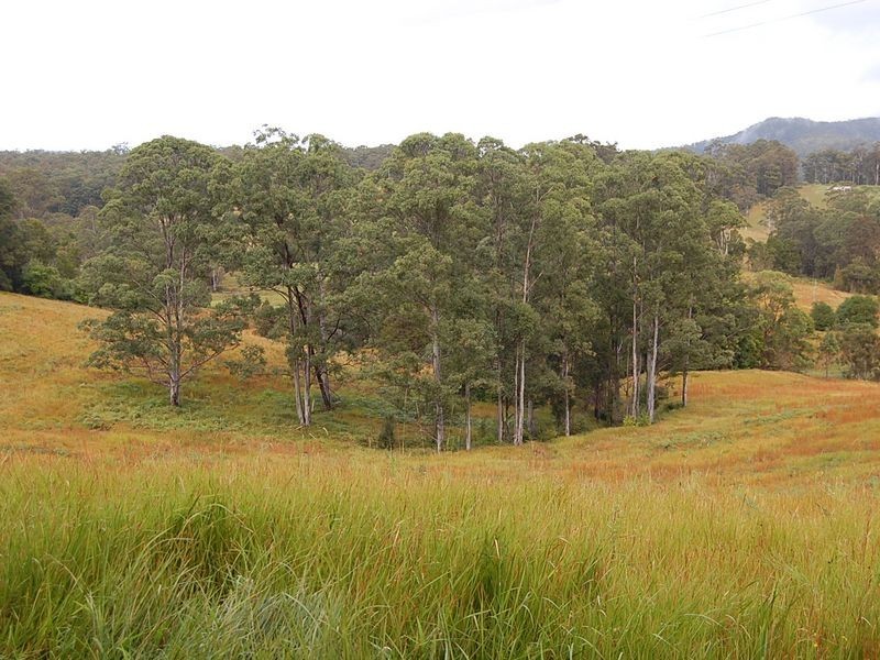 Lot 1/2/3 Wards Road, Macksville NSW 2447