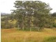 Lot 1/2/3 Wards Road, Macksville NSW 2447