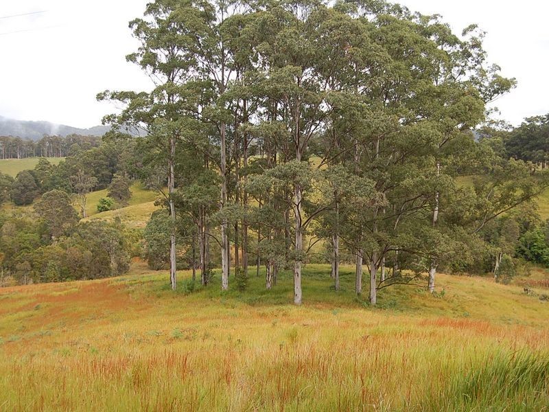 Lot 1/2/3 Wards Road, Macksville NSW 2447