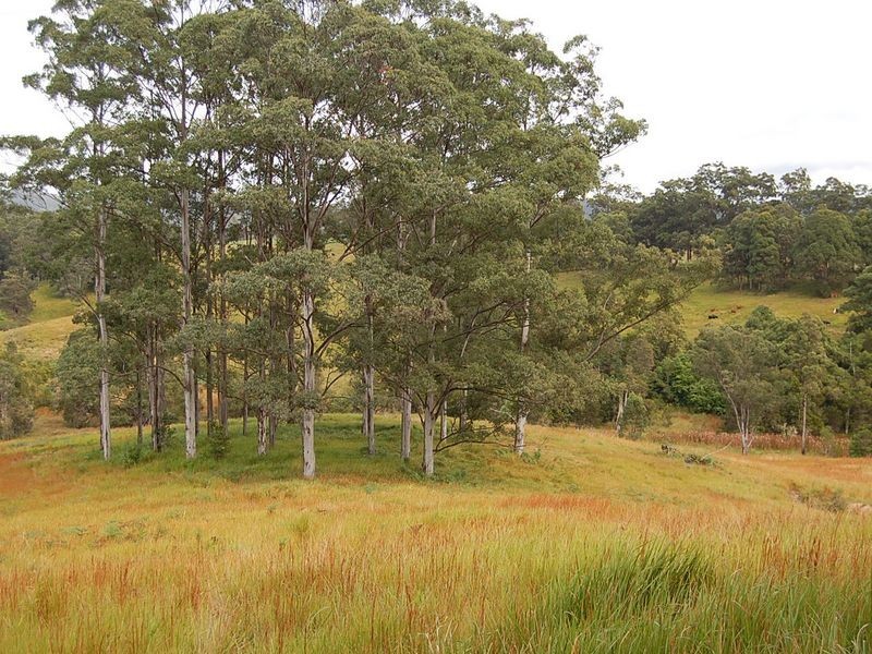 Lot 1/2/3 Wards Road, Macksville NSW 2447