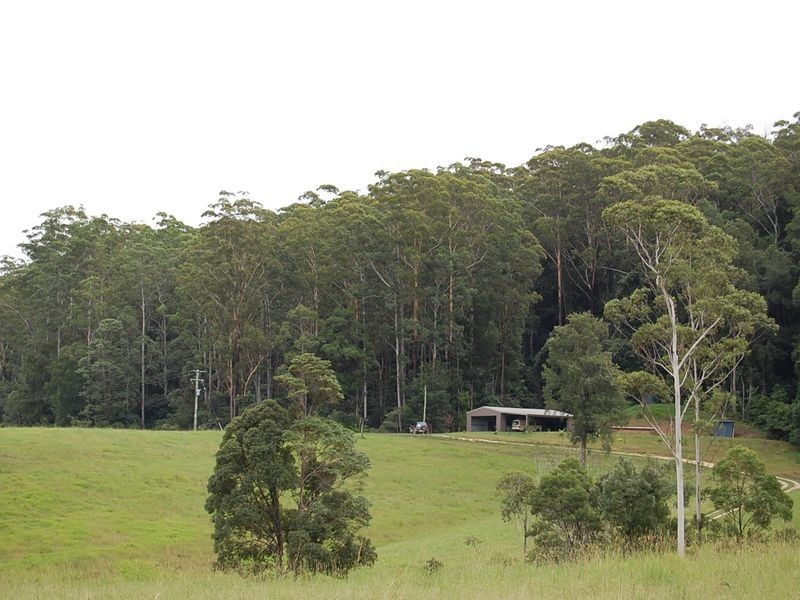 316 Bellingen Street, Bowraville NSW 2449